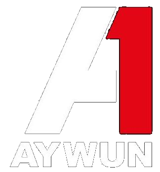 AYWUN 以用戶為核心！新品牌電源供應器，用實力說話